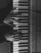 Piano Day 